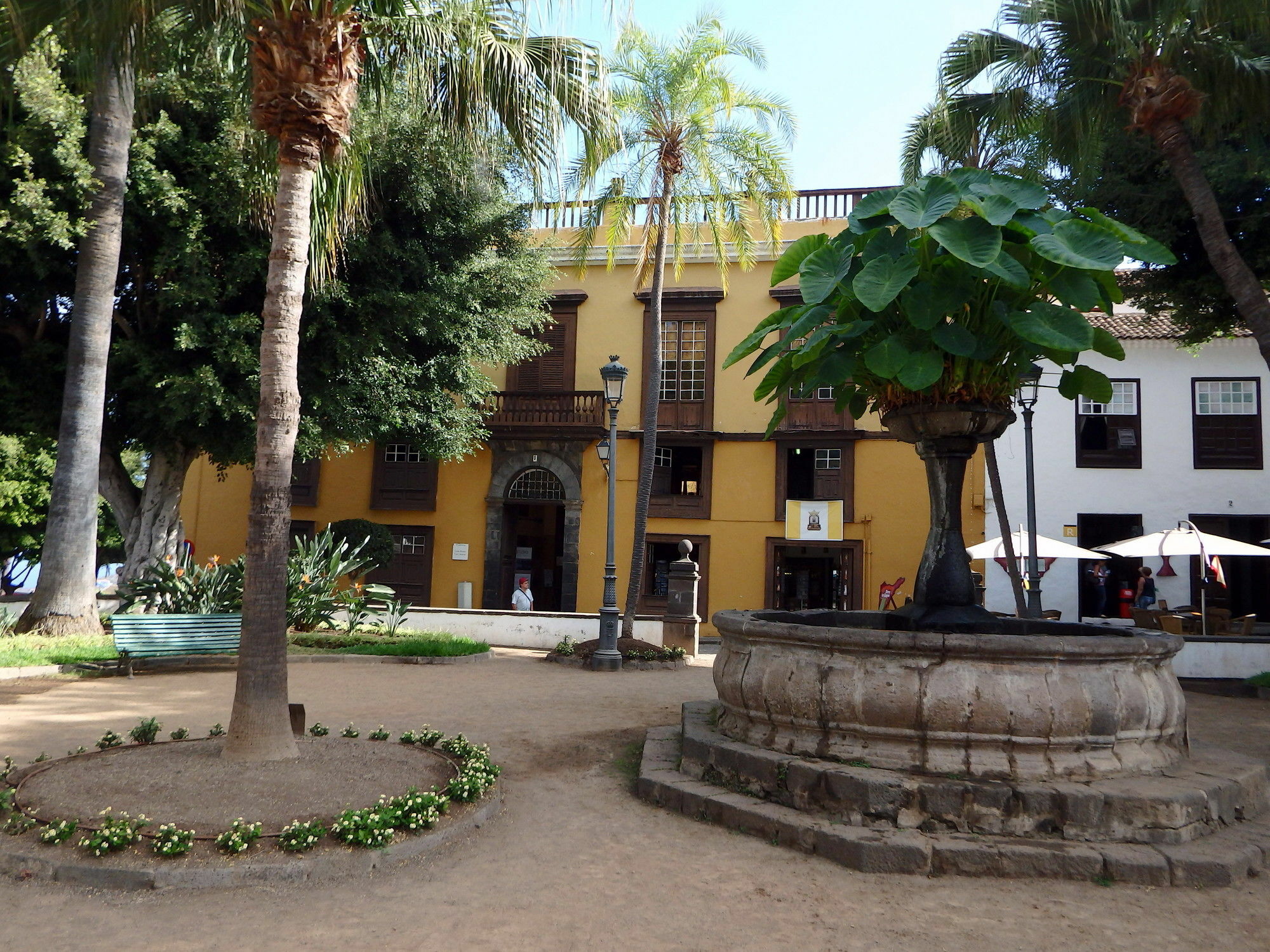 Finquita La Villa Icod De Los Vinos Buitenkant foto